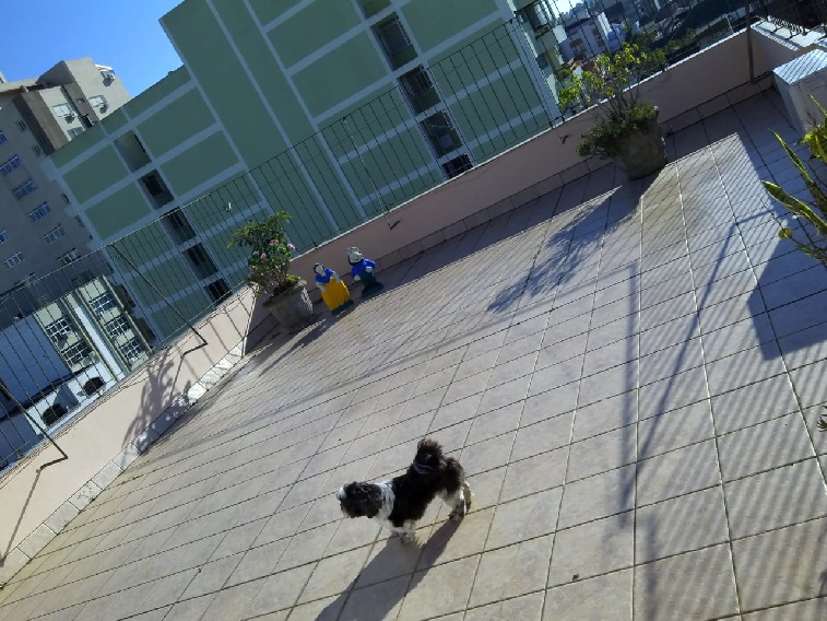 Imagem do imóvel
